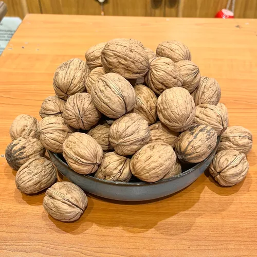 küçük 8